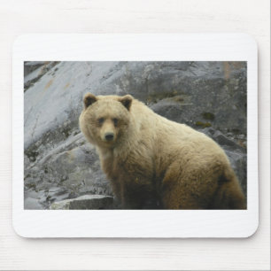 Bärn-Alaska-Tier-Schicksals-Natur Mousepad