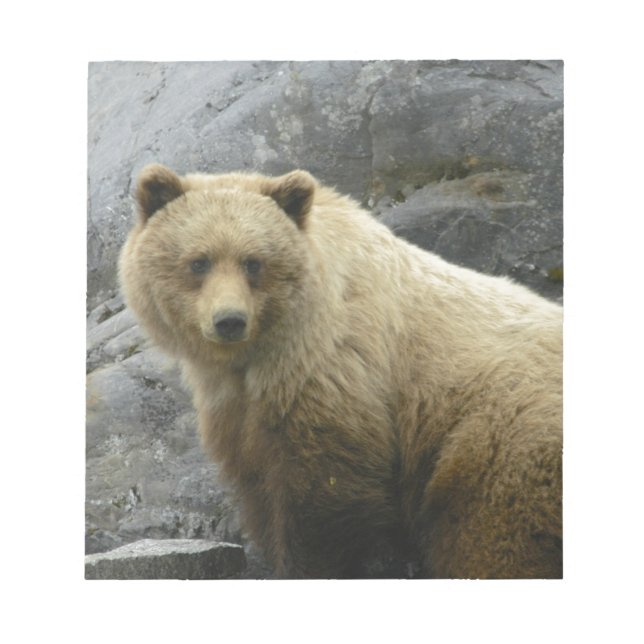 Bärn-Alaska-Tier-Schicksals-Natur Notizblock (Vorderseite)