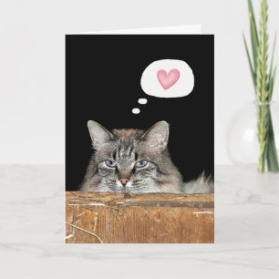 Barn Cat Denken Sie an Sie Karte