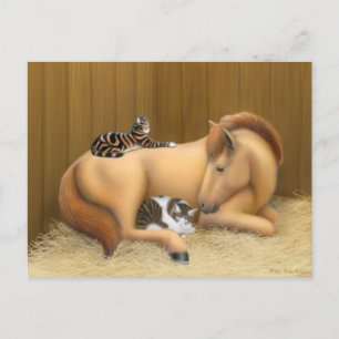 Barn Friends Postcard Postkarte