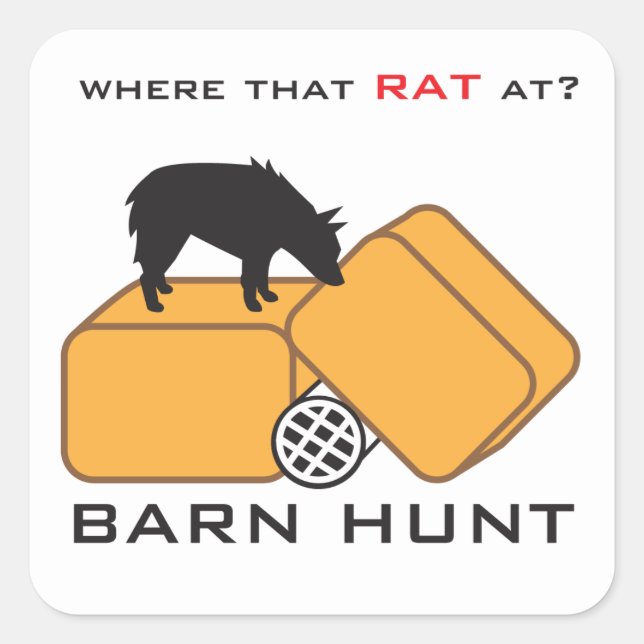 Barn Hunt Schipperke Quadratischer Aufkleber (Vorderseite)