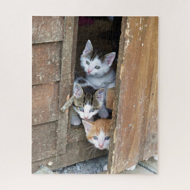 Barn Kittens Puzzle (Vertikal)