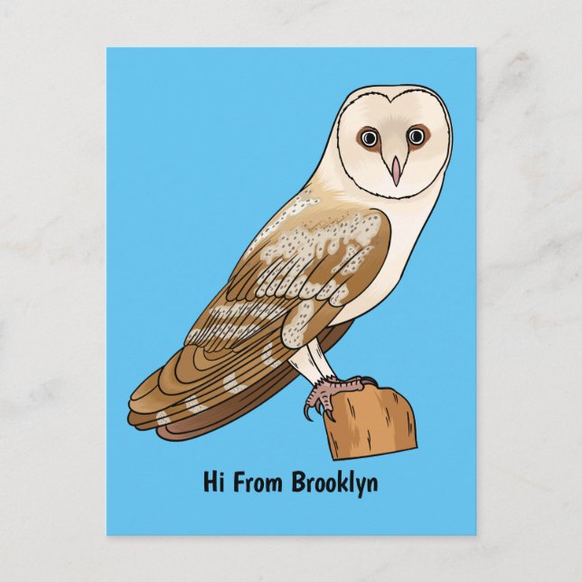 Barn owl bird cartoon illustration postkarte (Vorderseite)