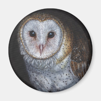Barn Owl Bird Originelle Malerei Kunst Magnet