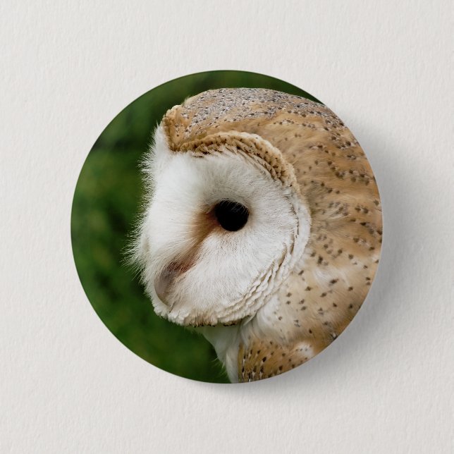 BARN OWL BUTTON (Vorderseite)