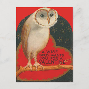 Barn Owl Herz Tree Stars Valentine Feiertagspostkarte