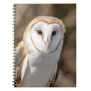 Barn Owl Notizblock