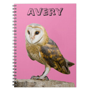 Barn Owl Notizblock