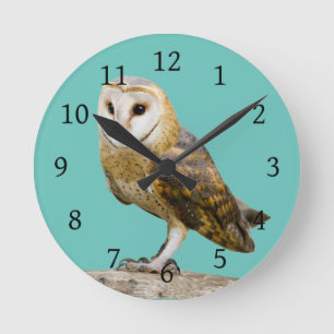 Barn Owl Runde Wanduhr