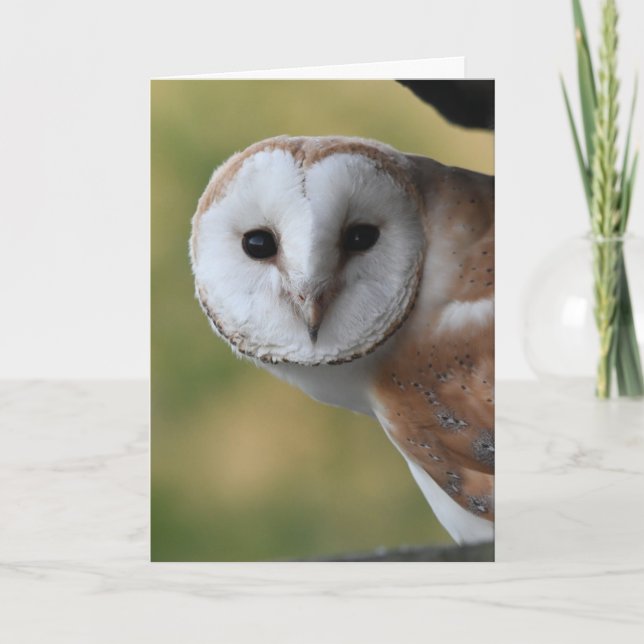 Barn owl Schottland Karte (Vorderseite)
