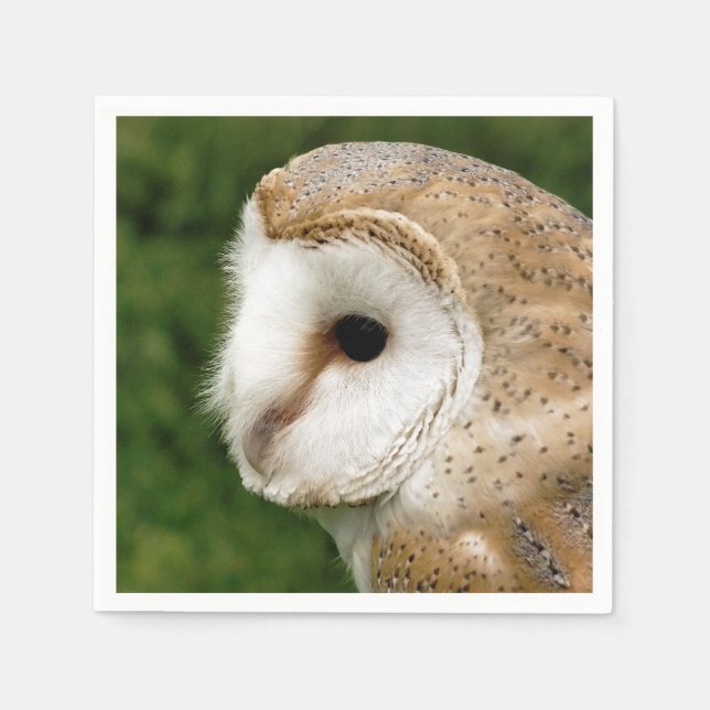 BARN OWL SERVIETTE (Vorderseite)
