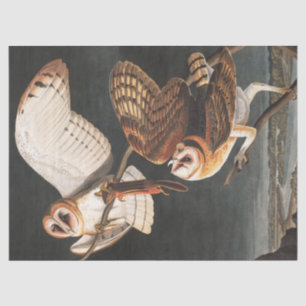 Barn Owl von John James Audubon Seidenpapier