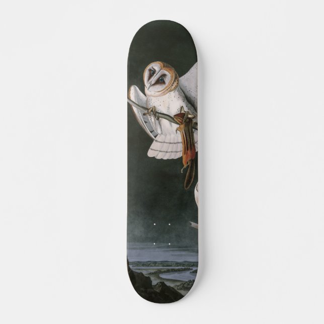 Barn Owls, die Vögel Amerikas John James Audubon Skateboard (Vorne)