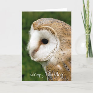 BARN OWLS KARTE