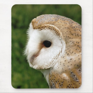 BARN OWLS MOUSEPAD