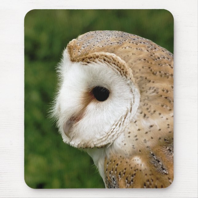 BARN OWLS MOUSEPAD (Vorne)