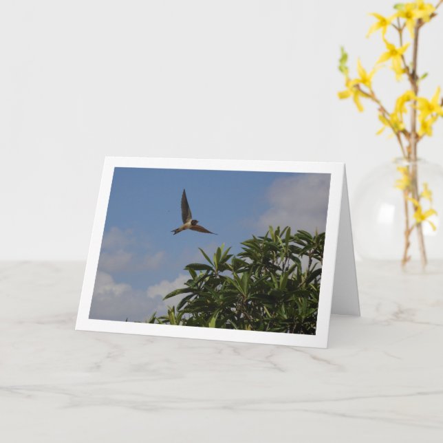 Barn Swallow Portrait Karte (Gelbe Blume)