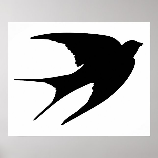 Barn Swallow Poster (Vorne)