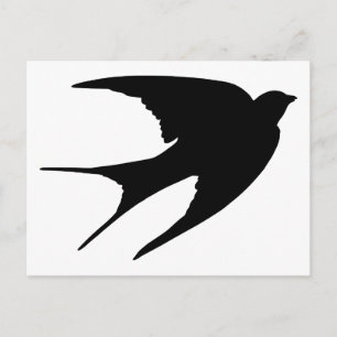 Barn Swallow Postkarte