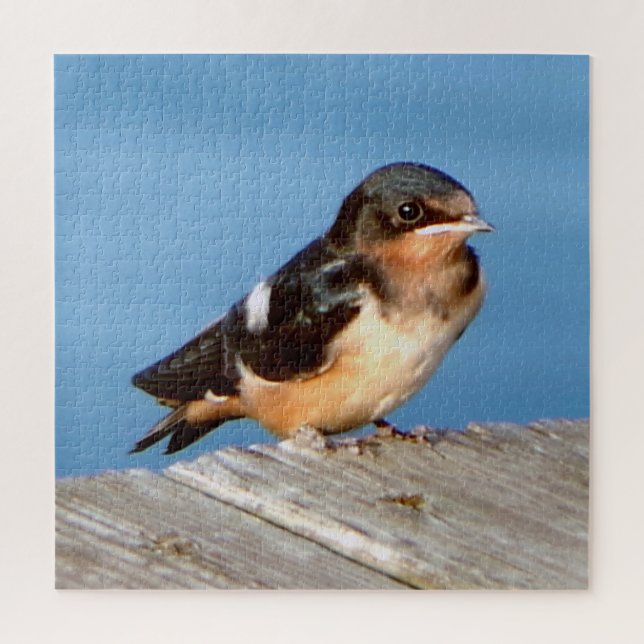 Barn Swallow Puzzle (Vertikal)