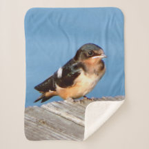 Barn Swallow Sherpa Decke