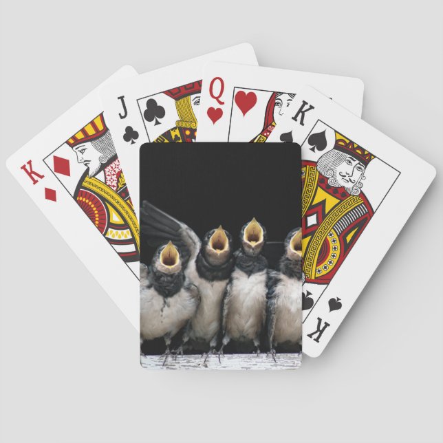 Barn Swallow Singing Spielkarten (Rückseite)