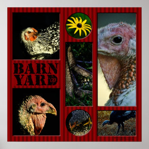 Barn Yard Montage Poster