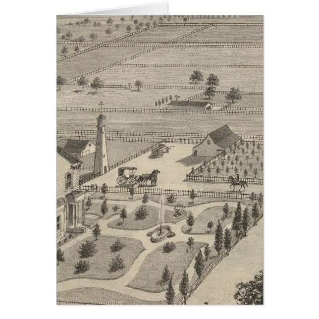 Barnes res, Wald (Vorne)