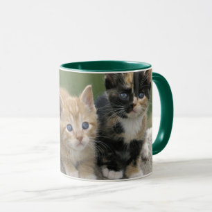 Barnkätzchen auf einer Pferdedecke Tasse