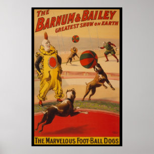 Barnum & Bailey Circus Foot-Ball Hunde Poster