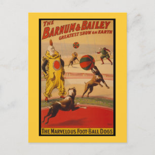 Barnum & Bailey Circus Foot-Ball Hunde Postkarte