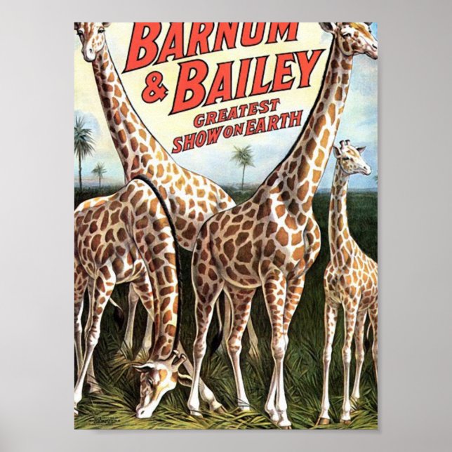 Barnum & Bailey Giraffes Retro Theater Poster (Vorne)
