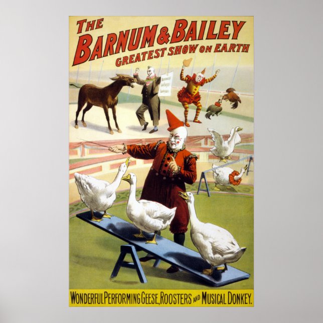 Barnum & Bailey - Herrliche Darstellende Gänse Poster (Vorne)