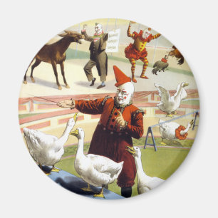 Barnum & Bailey - Wunderbar auftretende Gänse Magnet