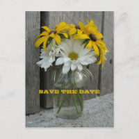 Barnwood, Daisis, Mit Augen Schwarze Susans Save t