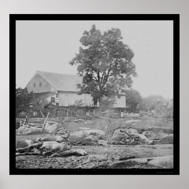 Barnyard and Horses in Gettysburg 1863 Poster (Vorne)