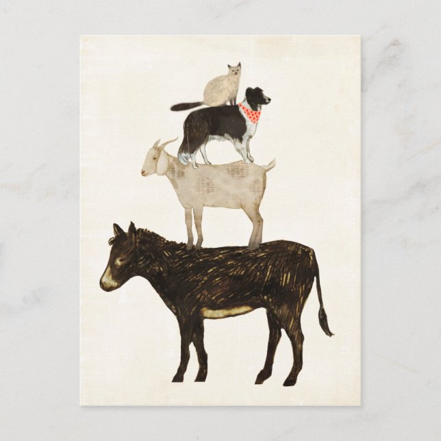 Barnyard Buds - Donkey, Ziege, Hund, Katze Postkarte (Vorderseite)