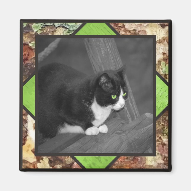 Barnyard Cat Magnet (Vorne)