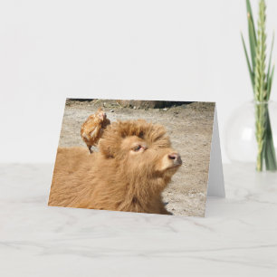 Barnyard Freunde Karte