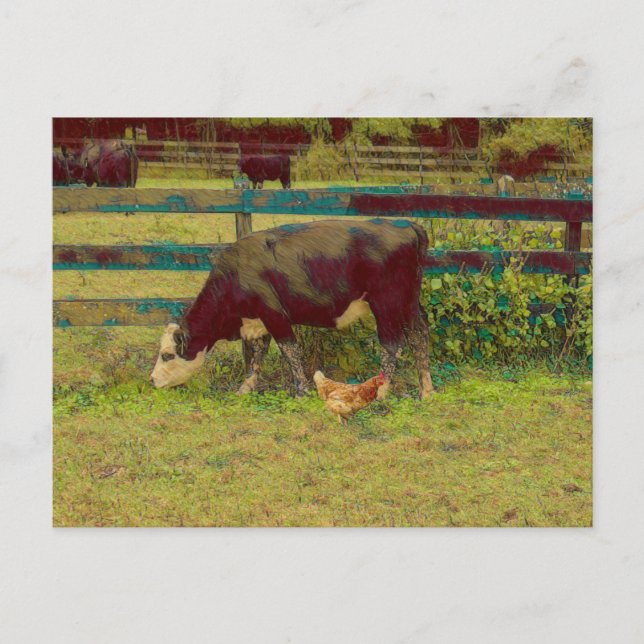 Barnyard Friends Cow & Chicken Postkarte (Vorderseite)