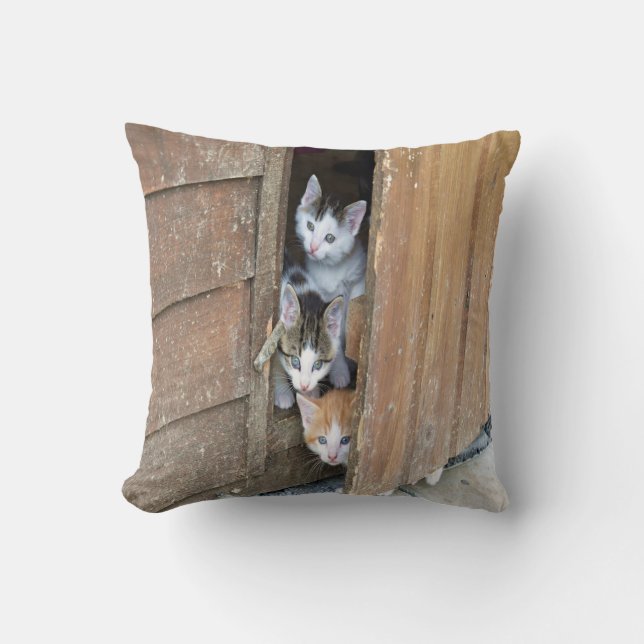 Barnyard Kittens Kissen (Vorderseite)