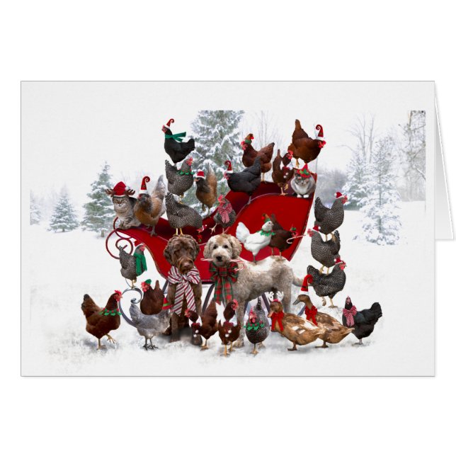 BARNYARD-TIERE MIT SCHLECHTER CHRISTMAS-KARTE (Vorderseite (Horizontal))