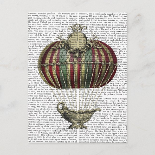 Barock Fantasy Ballon 4 Postkarte (Vorderseite)