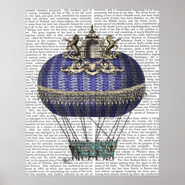 Barock Fantasy Balloon Poster (Vorne)