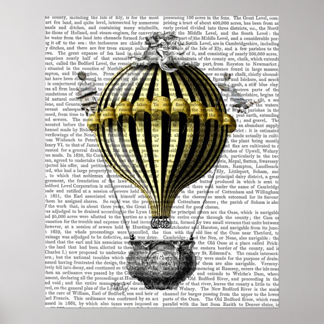 Barock Fantasy Balloon Poster (Vorne)