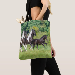 Barock Pinto Pferde Herde mit Niedlichem Foal Gall