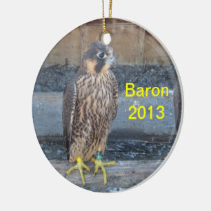 Baron 2013 Ornament