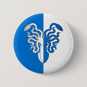 Barony of Ruantallan Populace Abzeichen Button