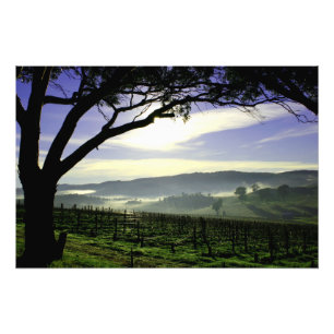 Barossa Valley Landschaft Fotodruck