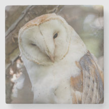 Barowl Portrait Stone Untersetzer